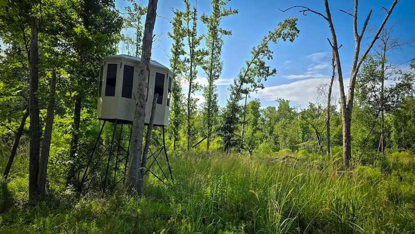 Copy of 7-20250710_100102