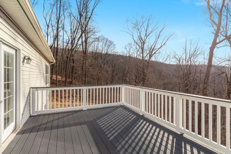 12-BY1A3820_145 Tulip Poplar Dr - Absolute Altitude -1 - 2025 - 18