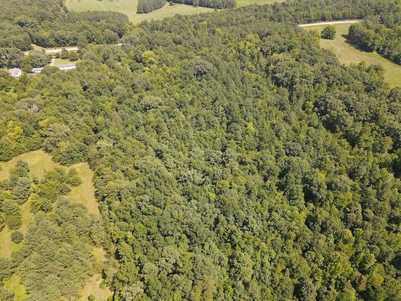 DJI_0216
