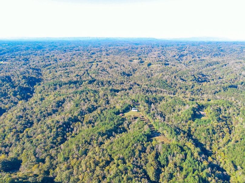 dji_fly_20241010_164500_905_1728593124583_photo