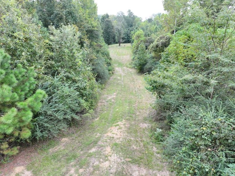 dji_fly_20250924_101234_0549_1758726280381_photo