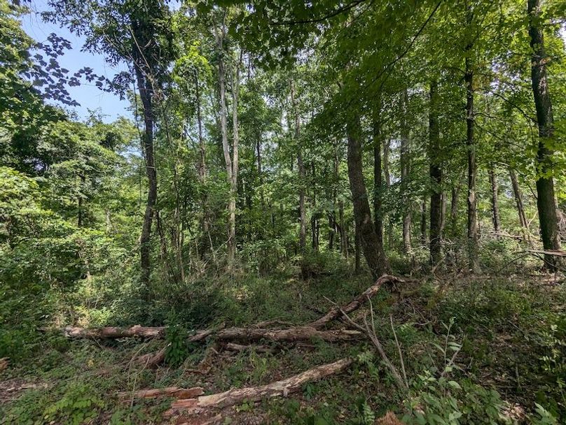 PXL_20240625_180729070