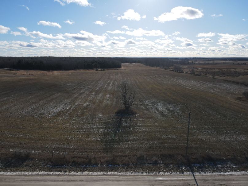 DJI_0843