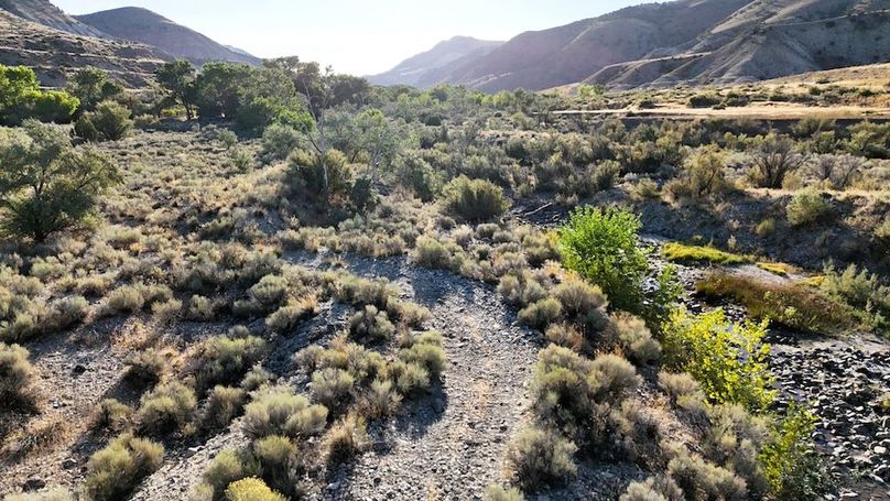 Salina Creek Acreage with Water Rights43