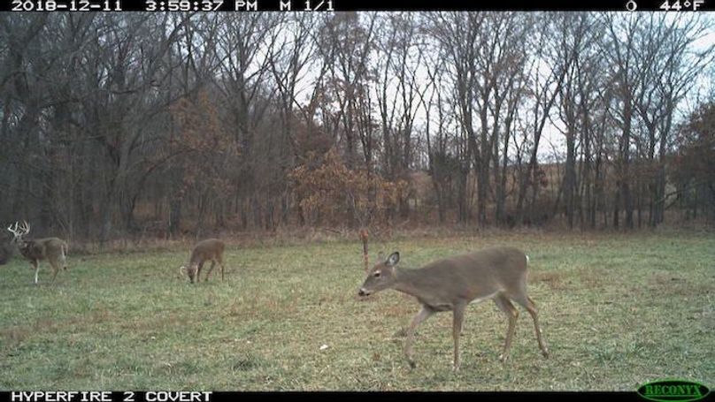 2018-12-11 15-59-37 M 1_1