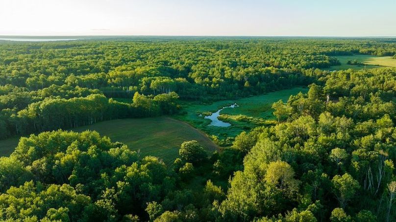 Cass MN 1095 Featured ProPhoto-79