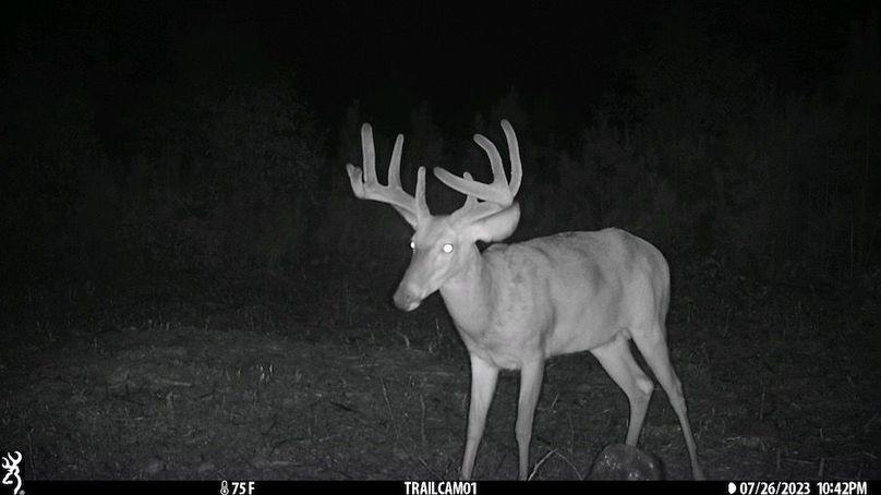 Trail cam 1