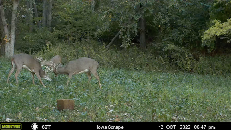 Screen Shot 2024-02-05 at 3.20.58 PM