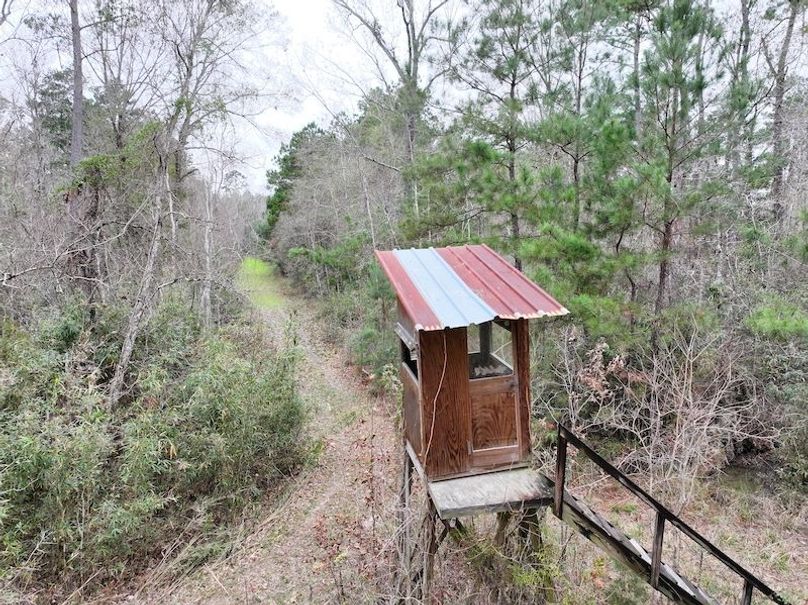 dji_fly_20260123_131624_0935_1769444776148_photo