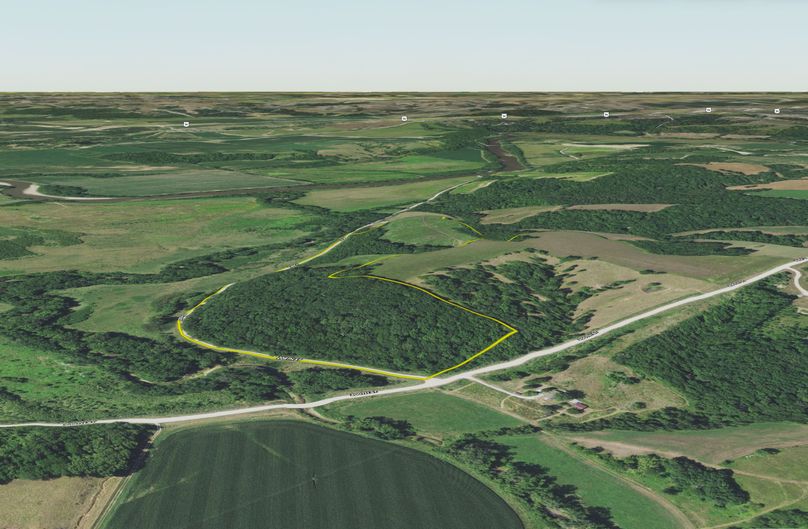 Henry 44 Map - _0002_03 tilt