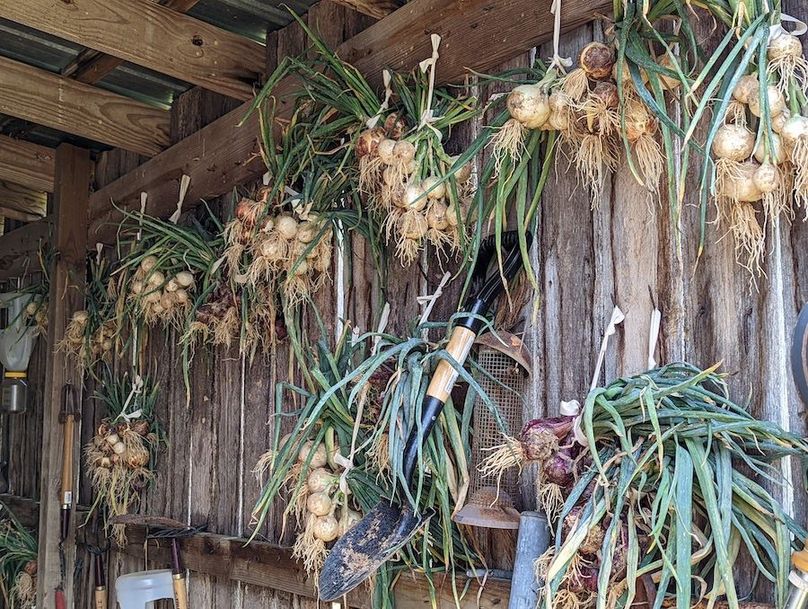 PXL_20220715_170952541