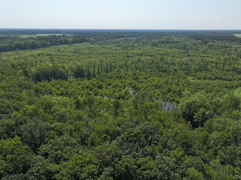 DJI_20250627100257_0106_D