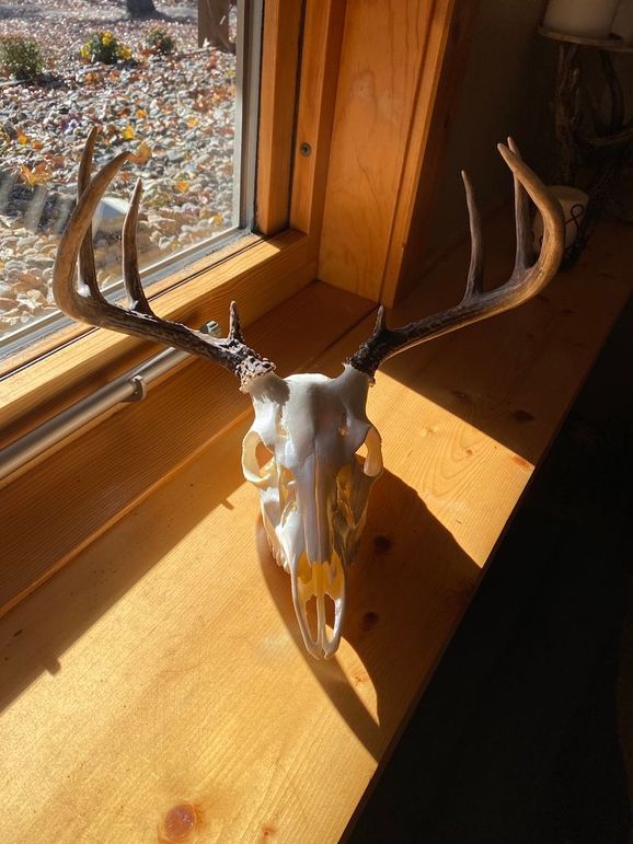 68909862522__EA47F554-C750-44EA-8FF1-A55E99653011