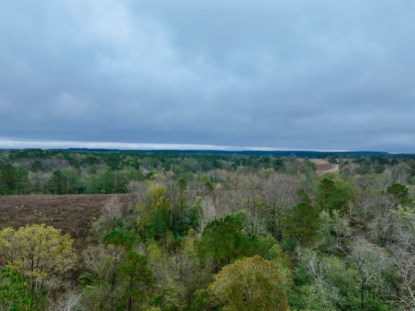 3A99E2AE-4B89-4B99-A252-8D74F9F2BFBC_1_201_a-2