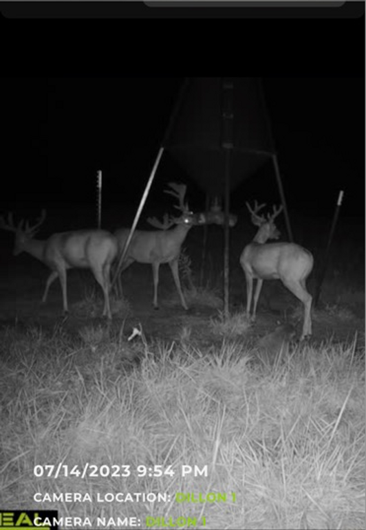 Screen Shot 2023-12-21 at 2.12.27 PM