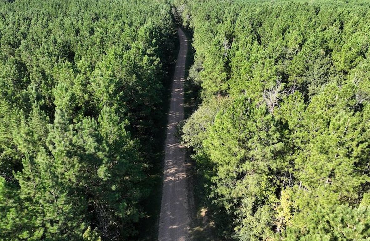 dji_fly_20250908_093752_0413_1757354104930_photo