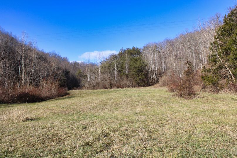 013 well groomed fields at the mouth of the valley