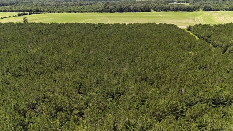 dji_fly_20250528_020524_0049_1748386803126_photo
