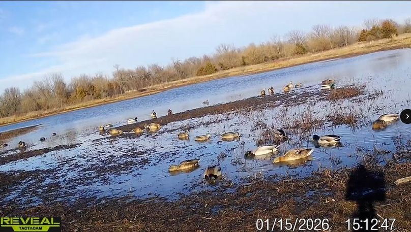 Screenshot_24-1-2026_91821_drive.google.com