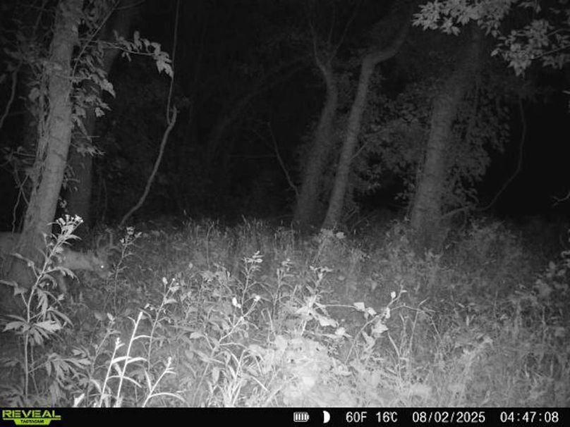 860516067504427-50-2-08022025044708-V-W1001651