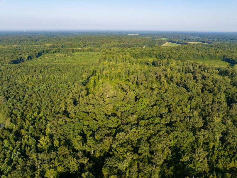 Itawamba 400 Moore-64