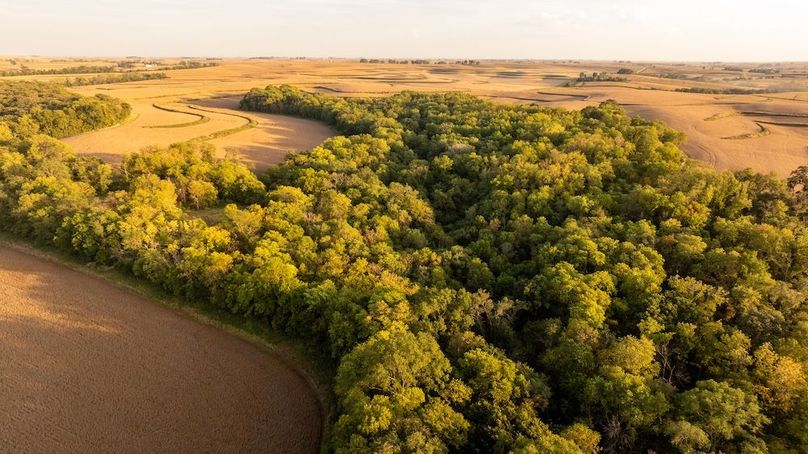 Copy of POTTAWATTAMIE CO IA 311 TRACT 3_4