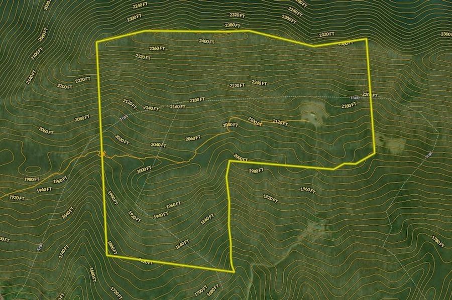Aerial5