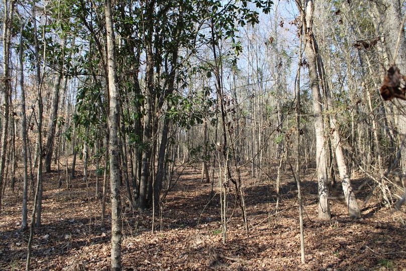 FBF64885-3741-4773-8B7F-5322F3C04AAF_1_105_c