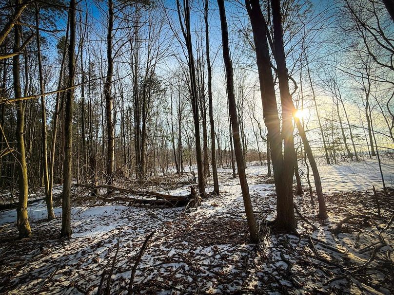 Seneca_43_Hohwald_Photos_36