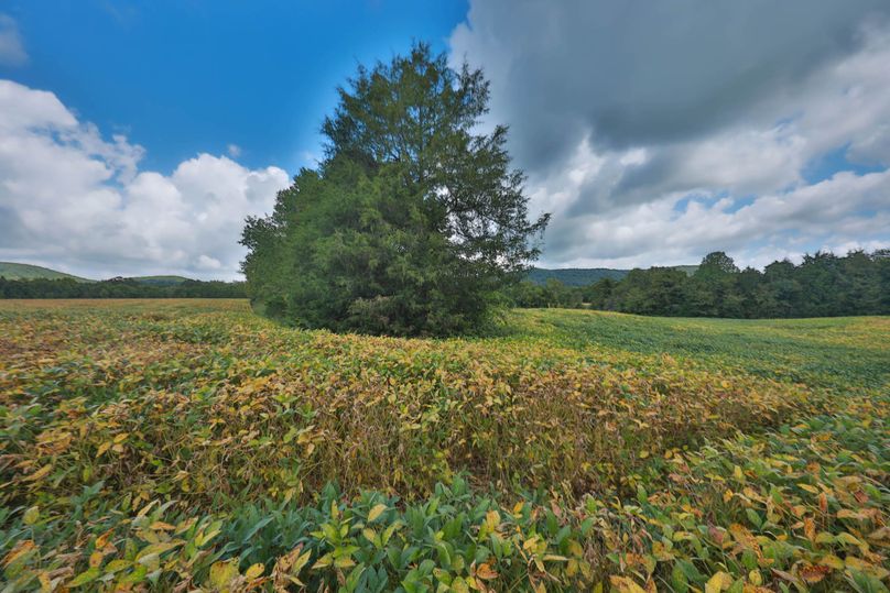 016 2nd and 3rd field split