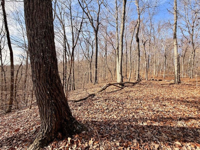 Roane Co TN 396 20251127_79