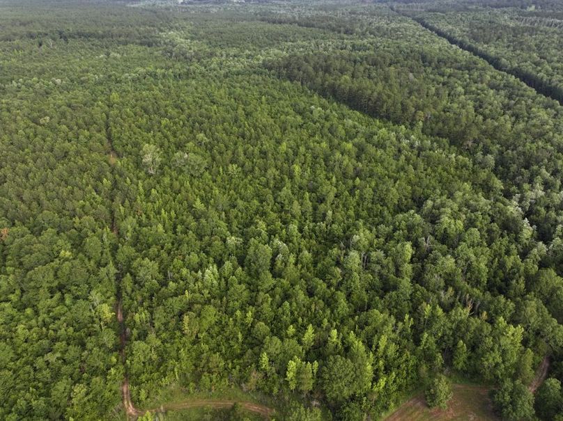 dji_fly_20250612_080442_0091_1750261389592_photo