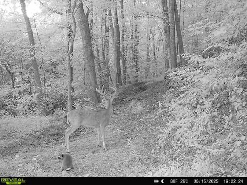 8CBEE965-EA20-4103-9B62-D1659A60B0CD