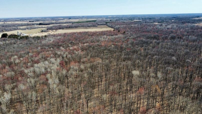 dji_fly_20250416_120948_847_1744914755473_photo_optimized