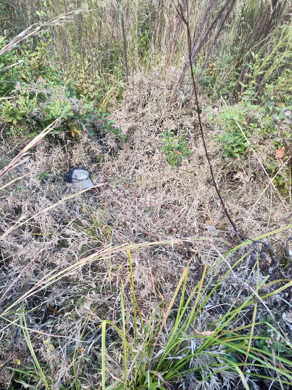 IMG_20231022_141252499_HDR