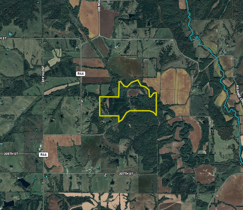 Screenshot 2025-09-11 at 11.21.14 AM