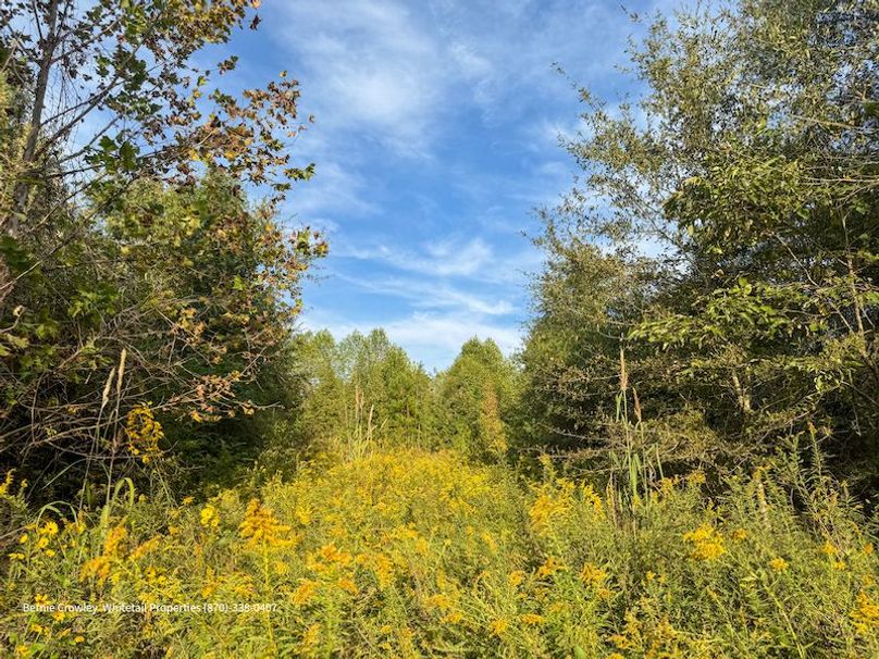 DeSoto 329 Prewett (Thompson) -32