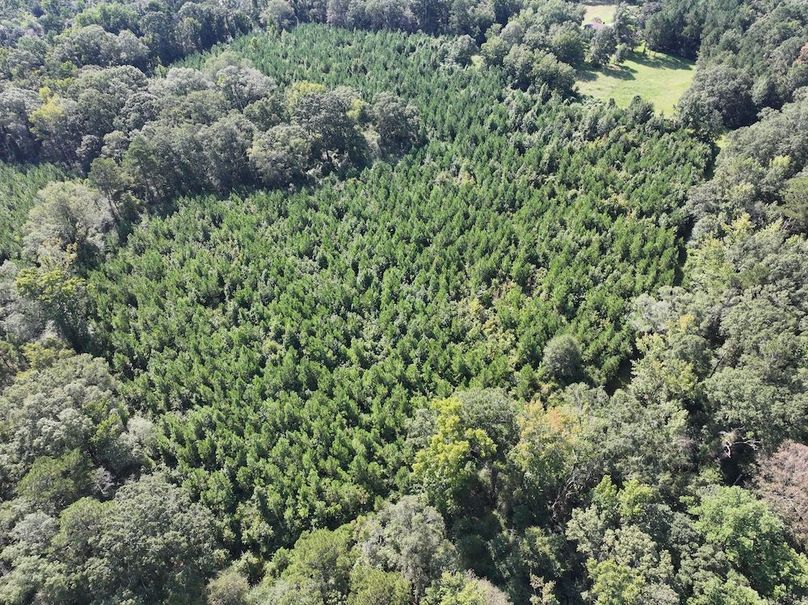 dji_fly_20250903_101936_0404_1757089040165_photo