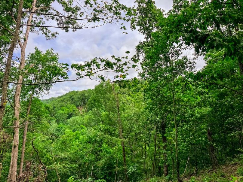 Wirt, WV 137.45 AC Full-19