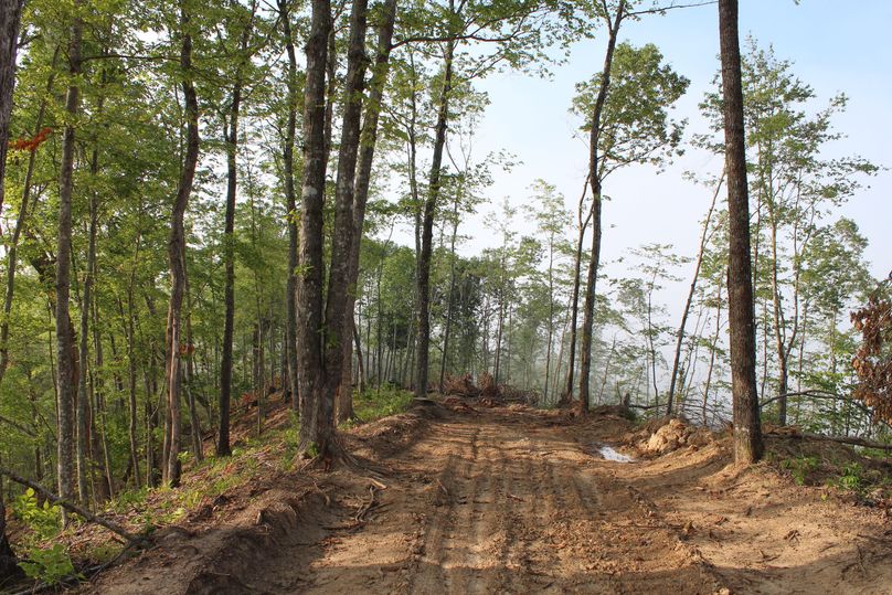 027 west side of the main ridge in the south portion of the property