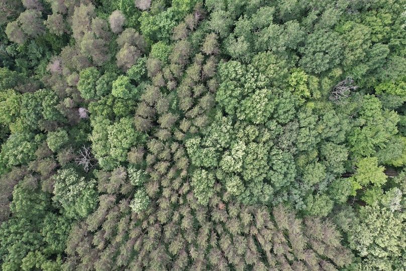 Oswego_22.46-Ross-French_Photos_34