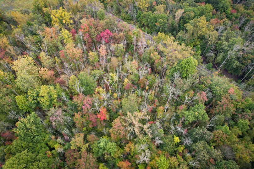 Ontario_16.2_Eddington Photo 11