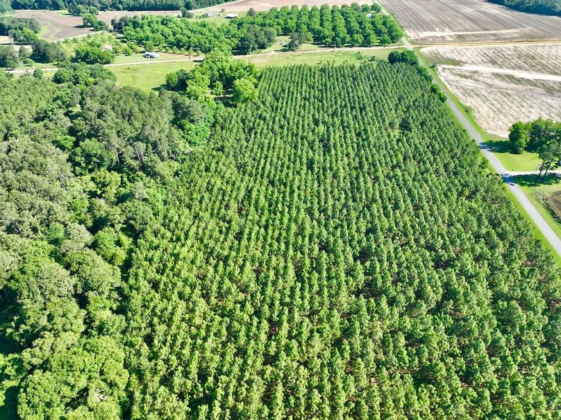 dji_fly_20240521_094648_377_1716299357278_photo