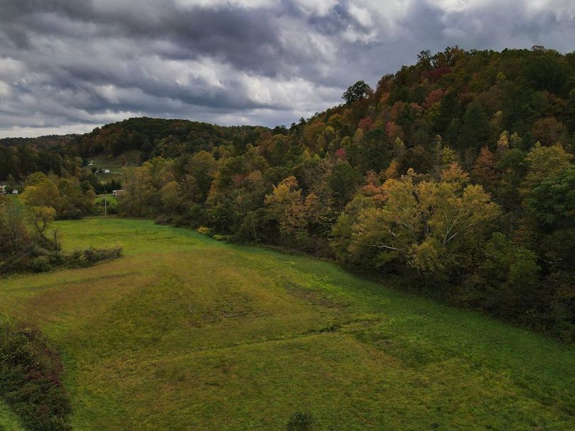 022 beautiful groomed bottomland