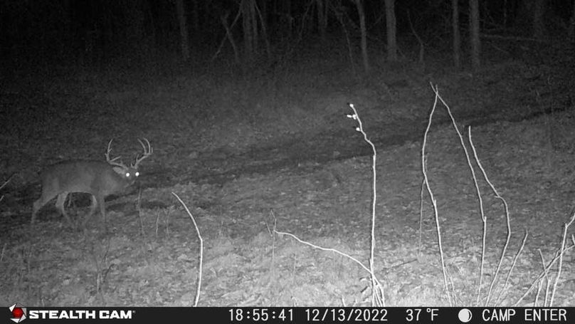 22121318554001000523