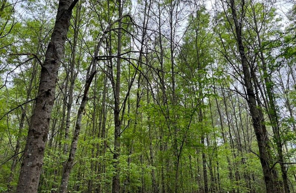 1D39BFAE-05FE-4BAA-B92B-748F3C050805_1_105_c