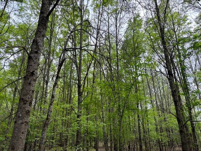 1D39BFAE-05FE-4BAA-B92B-748F3C050805_1_105_c