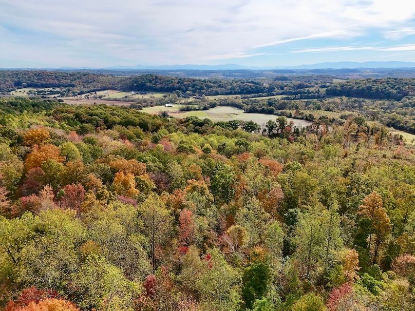 DJI_20251024110639_0073_D