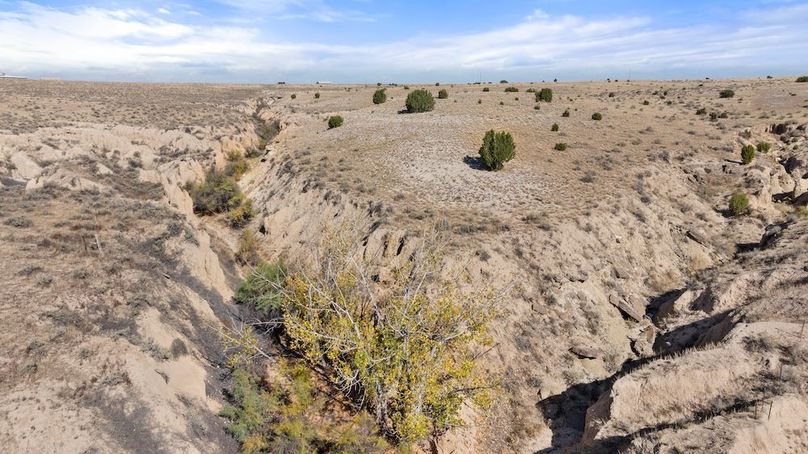 DJI_20251015114129_0101_D