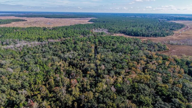 Copy of DJI_20251203233614_0692_D